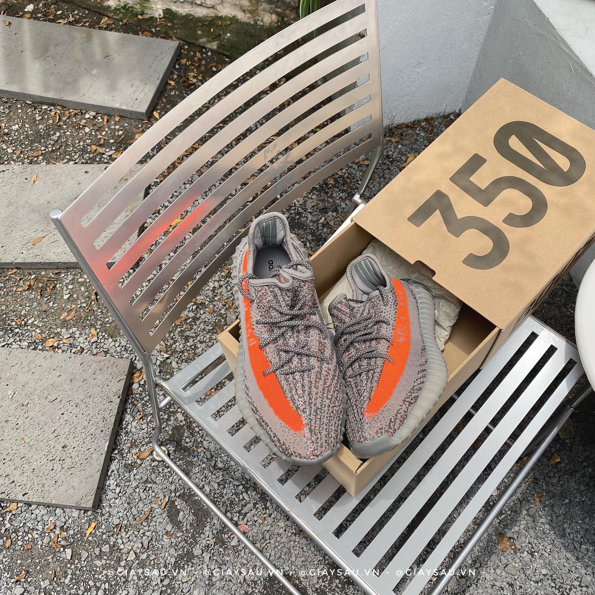 Giày Adidas Yeezy Boost 350 V2 