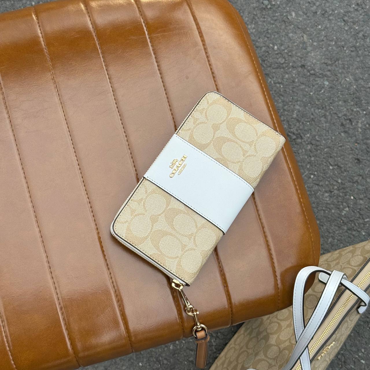 Coach Long Zip Around Wallet In Signature Canvas With Stripe