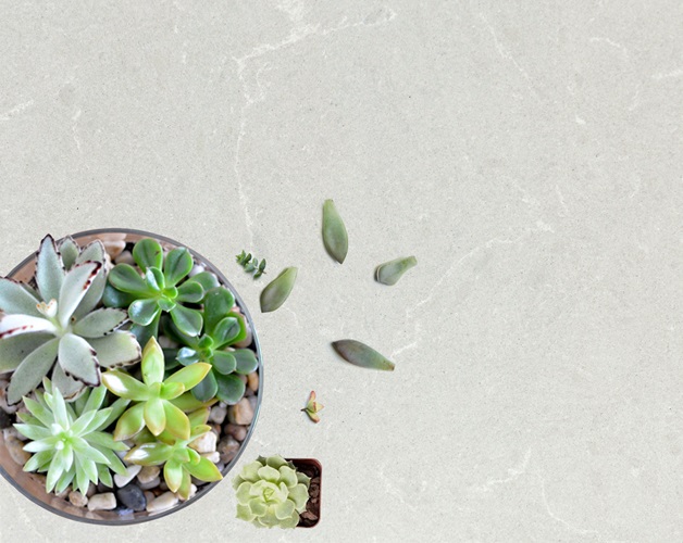 Vicostone Grey Savoie BQ8446