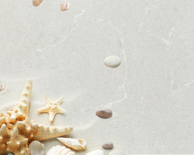 Vicostone Grey Savoie BQ8446