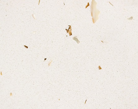 Vicostone White Shells BQ370