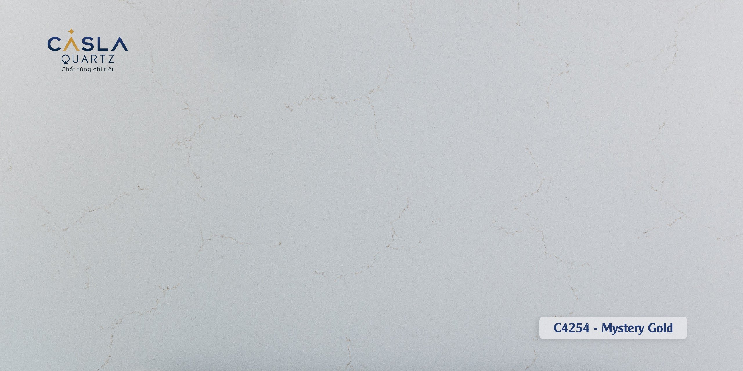 Casla C4254 - Mystery Gold