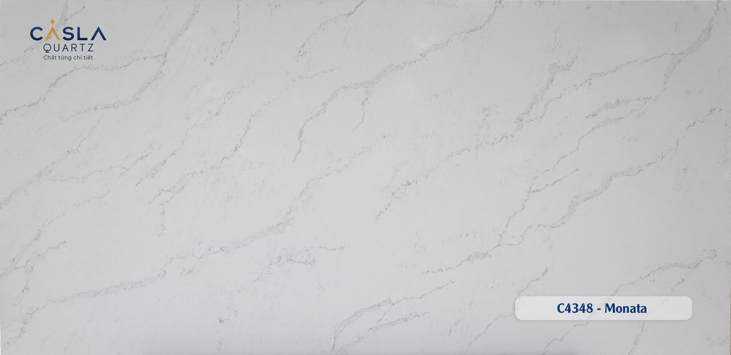 Casla C4348 - Monata