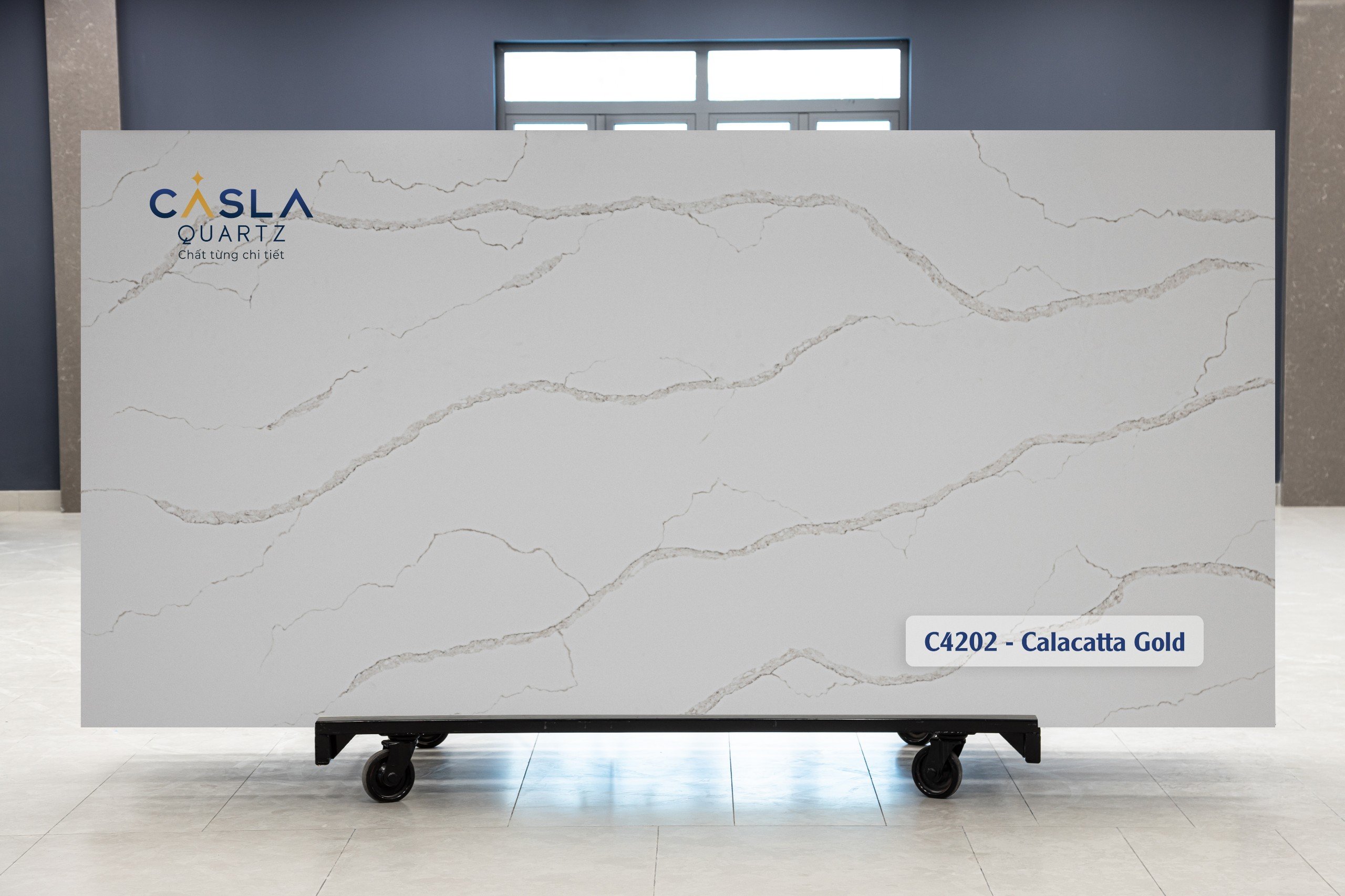 Casla C4202 - Calacatta Gold