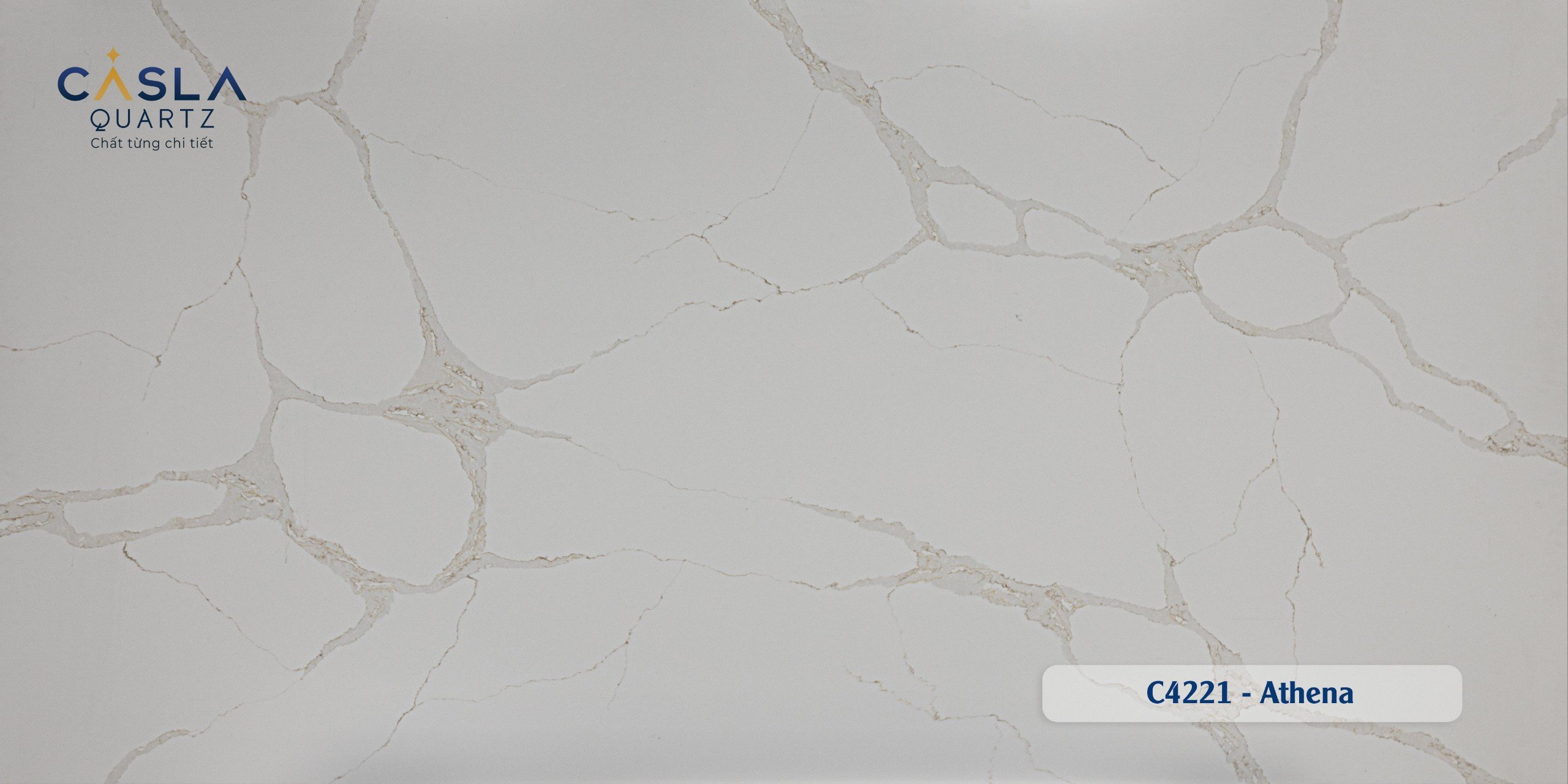 Casla C4221 - Athena