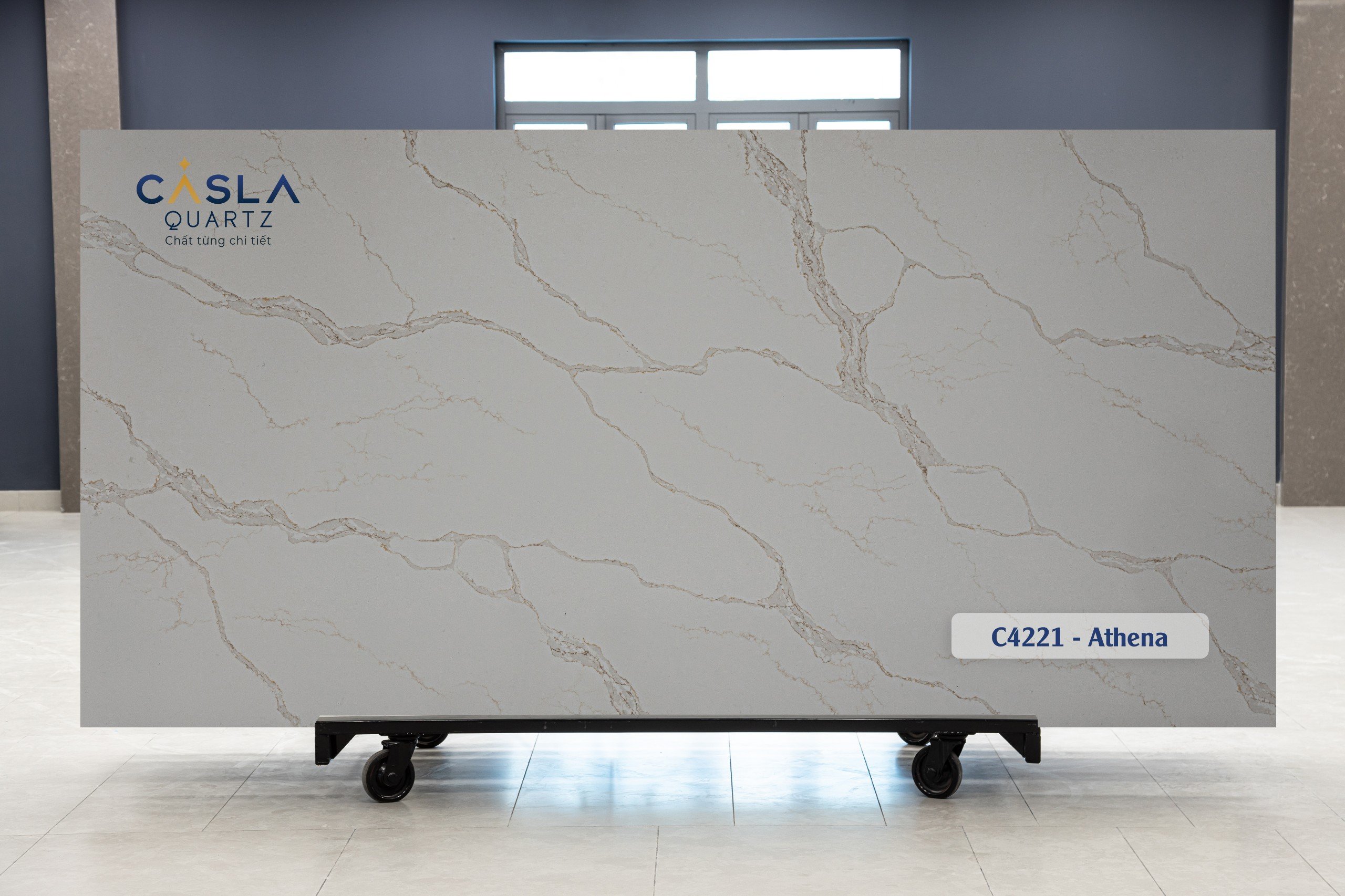 Casla C4221 - Athena