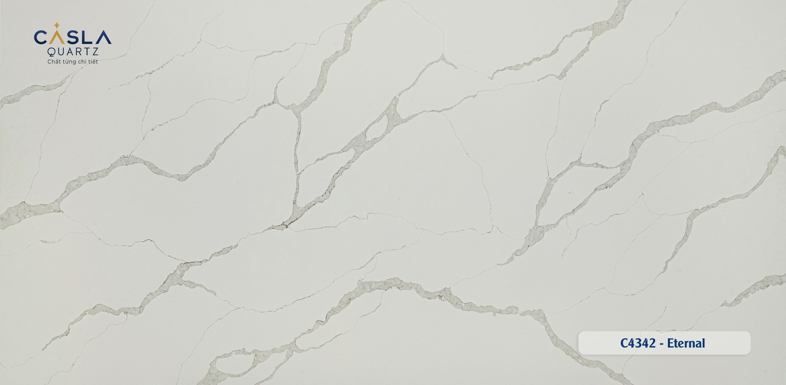 Casla C4342 - Eternal