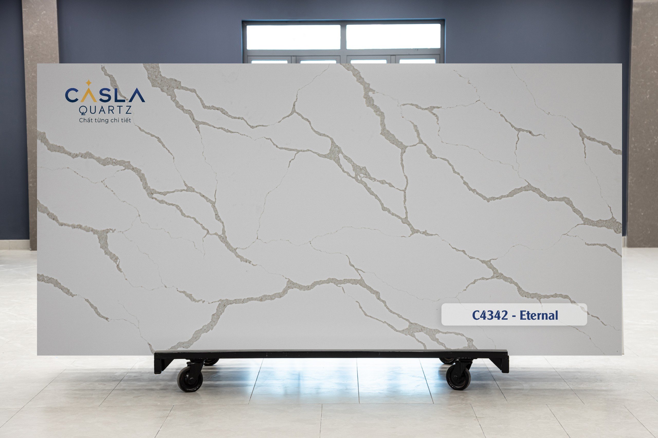 Casla C4342 - Eternal