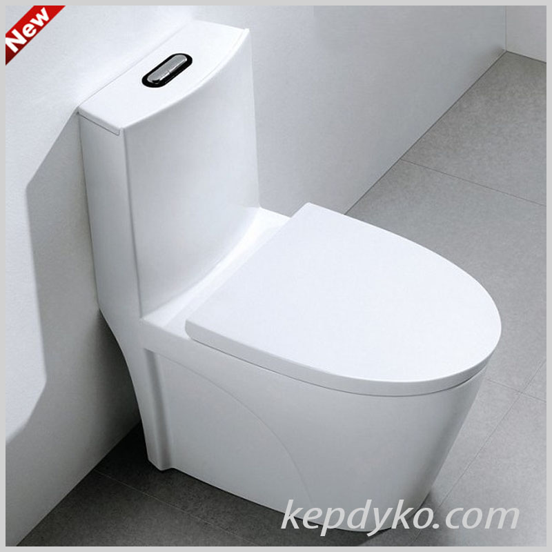 Bồn cầu nhập khẩu R13S thiết kế liền khối sang trọng