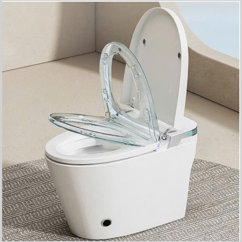 Cảm Biến Thông Minh Bồn cầu R41