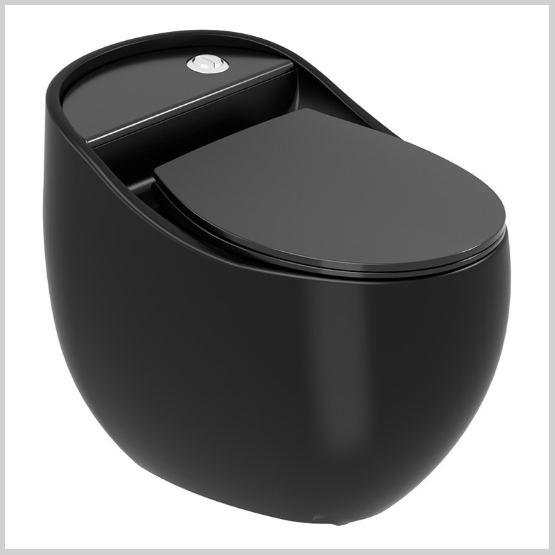 Bồn cầu trứng R21Black nguyên khối nắp đen sang trọng