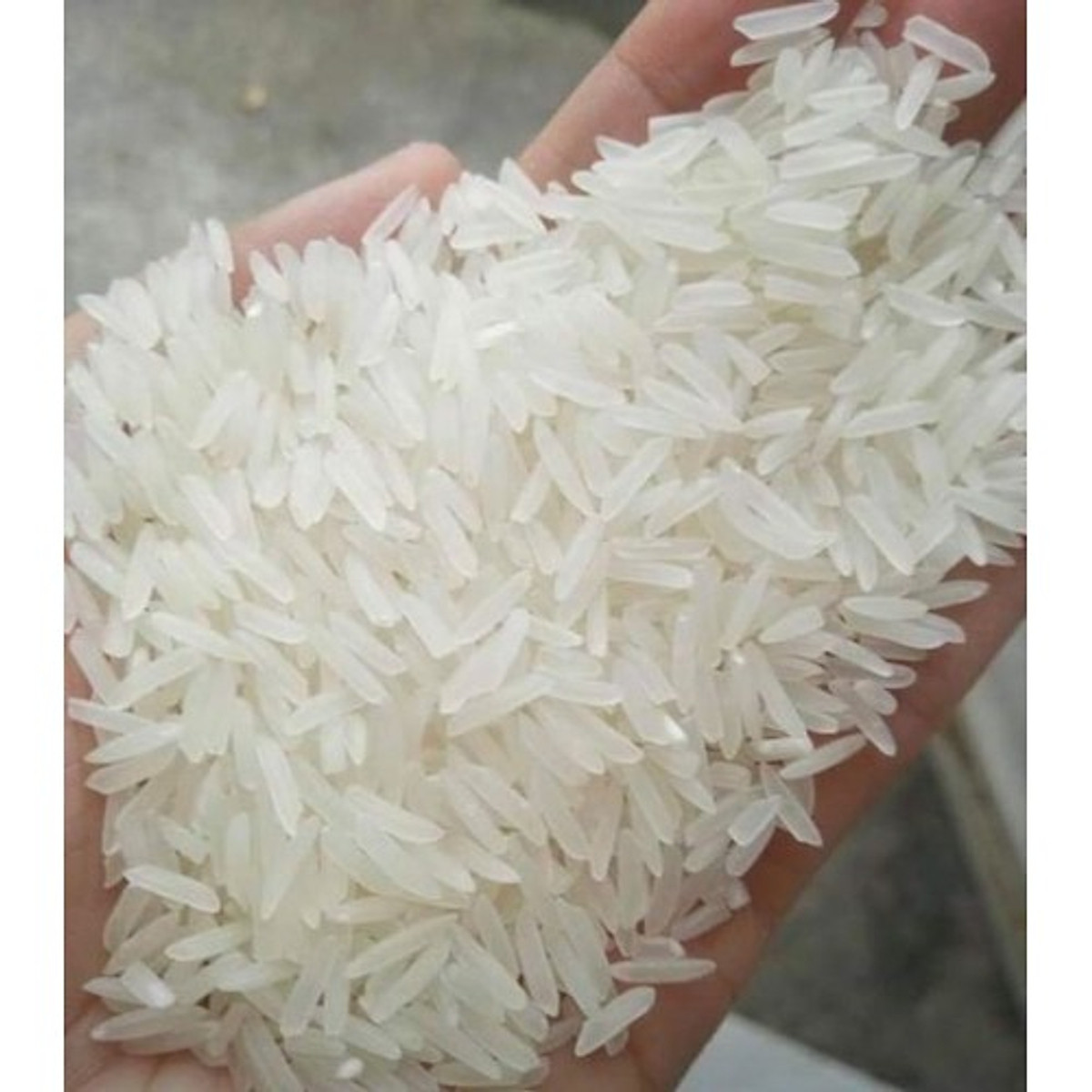 Bao 25 kg Gạo ST25 Lúa Tôm Hồ Quang Cua đặc sản sóc Trăng túi 5kg / Combo 2 túi Gạo ST25 lúa tôm túi 5kg