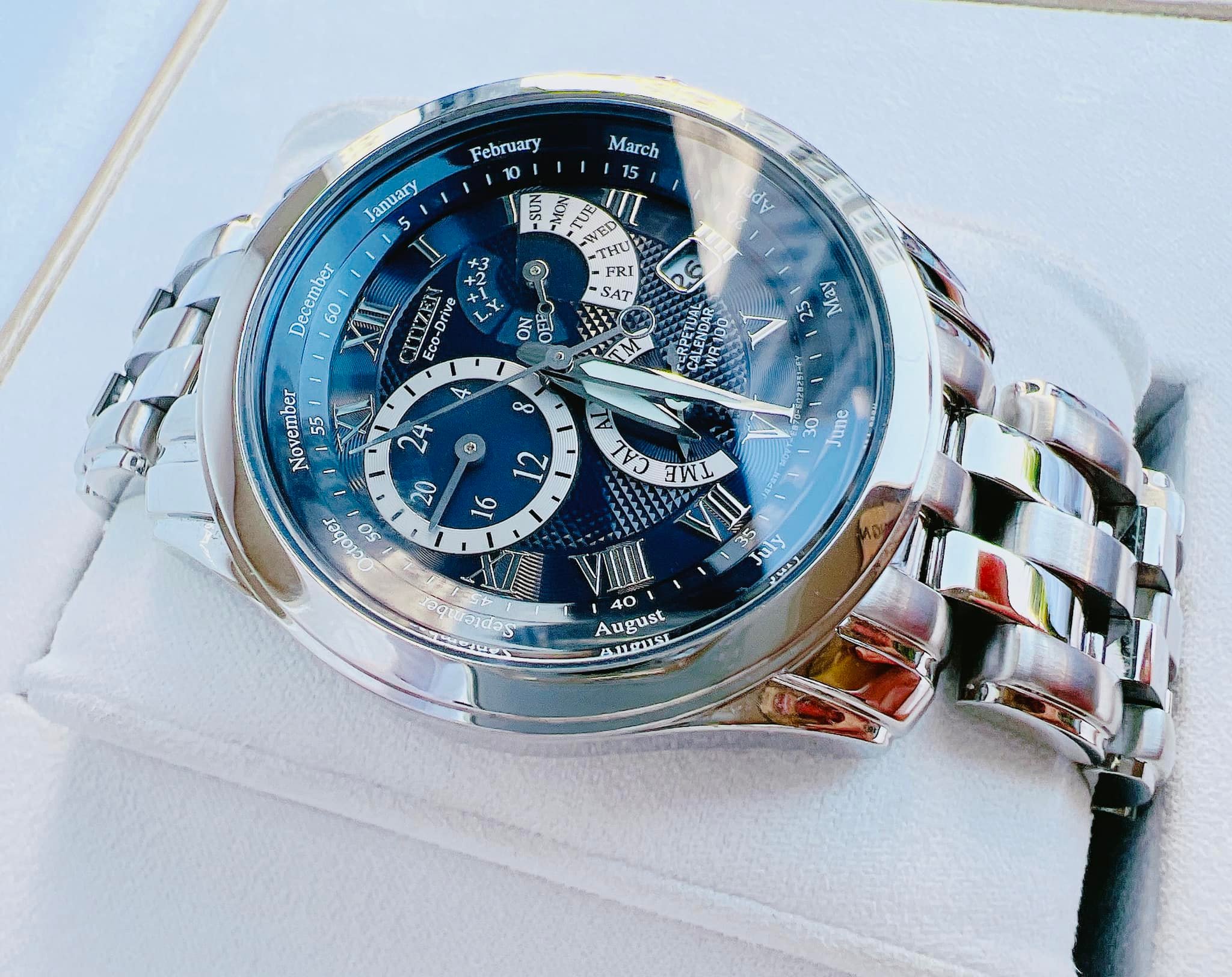 Citizen bl8000 cheap
