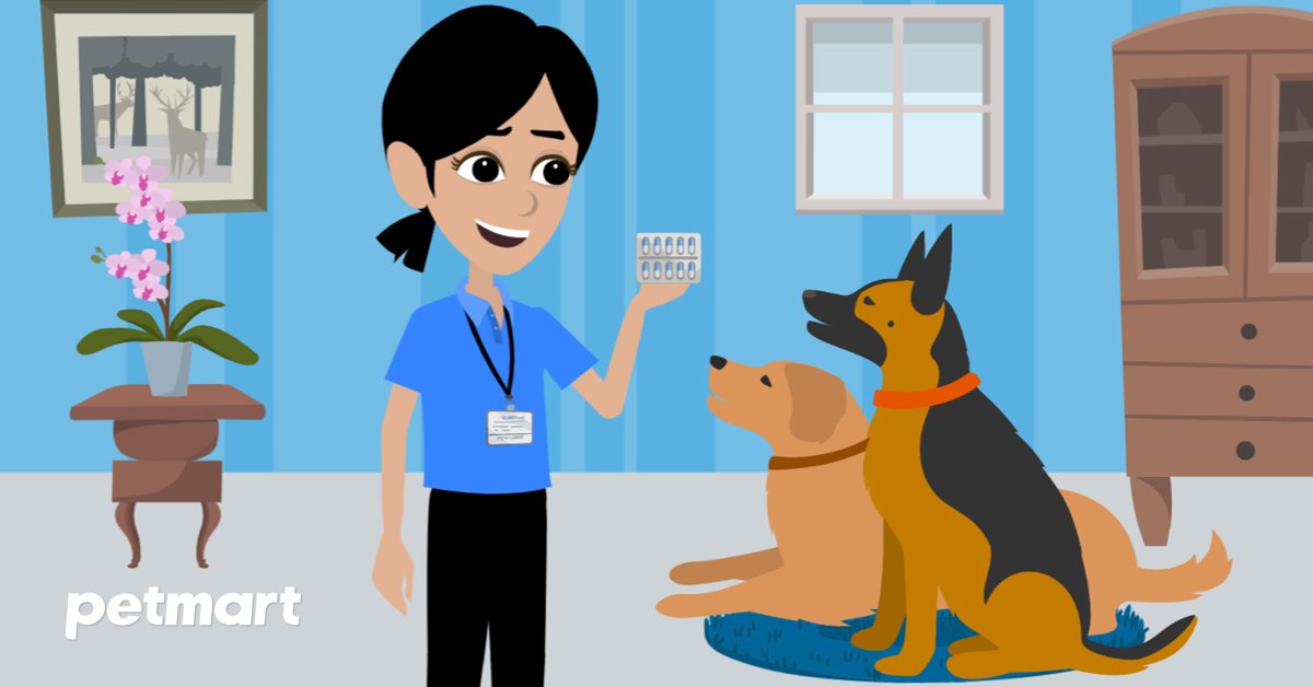 Tẩy giun cho chó và những điều bạn cần phải biết