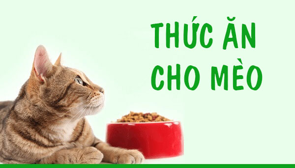 Thức ăn cho mèo