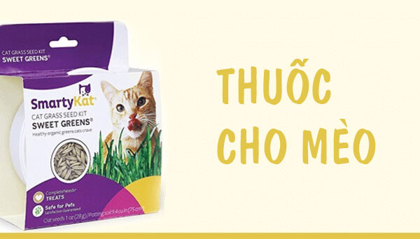 Thuốc cho mèo