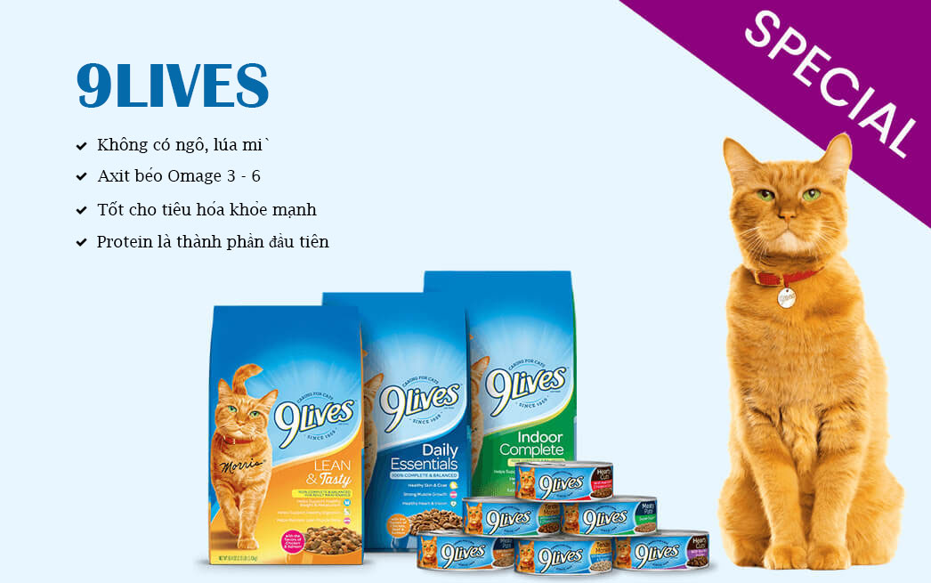 9 lives