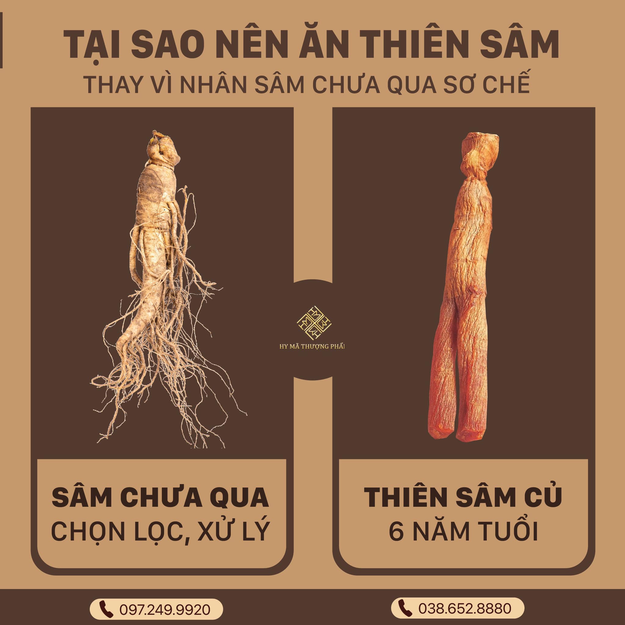 Sự khác biệt giữa 