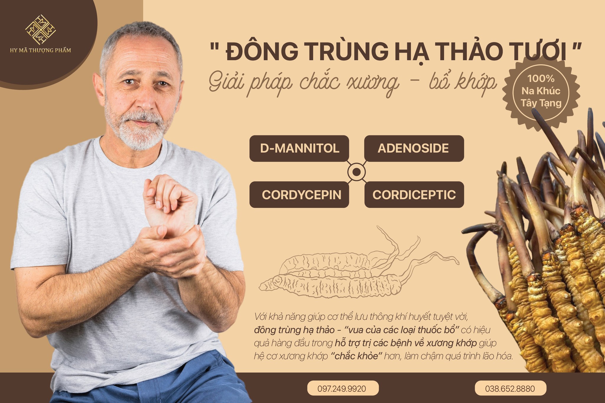 ĐÔNG TRÙNG HẠ THẢO TƯƠI - GIẢI PHÁP CHẮC XƯƠNG, BỔ KHỚP ÍT NGƯỜI BIẾT