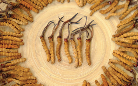 Hy Mã Thượng Phẩm