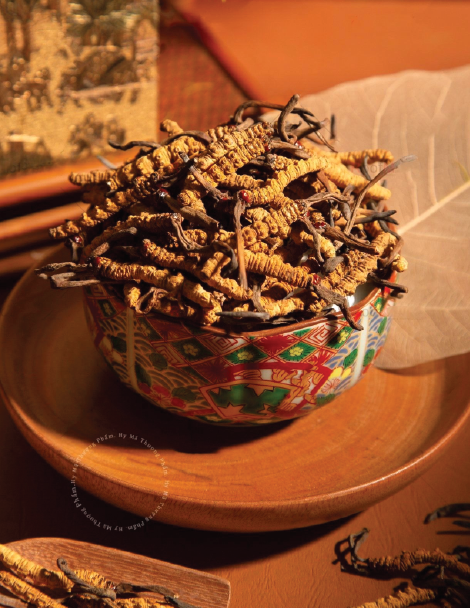 Hy Mã Thượng Phẩm