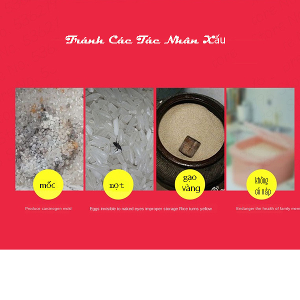 Thùng Đựng Gạo Bằng Gỗ 30kg