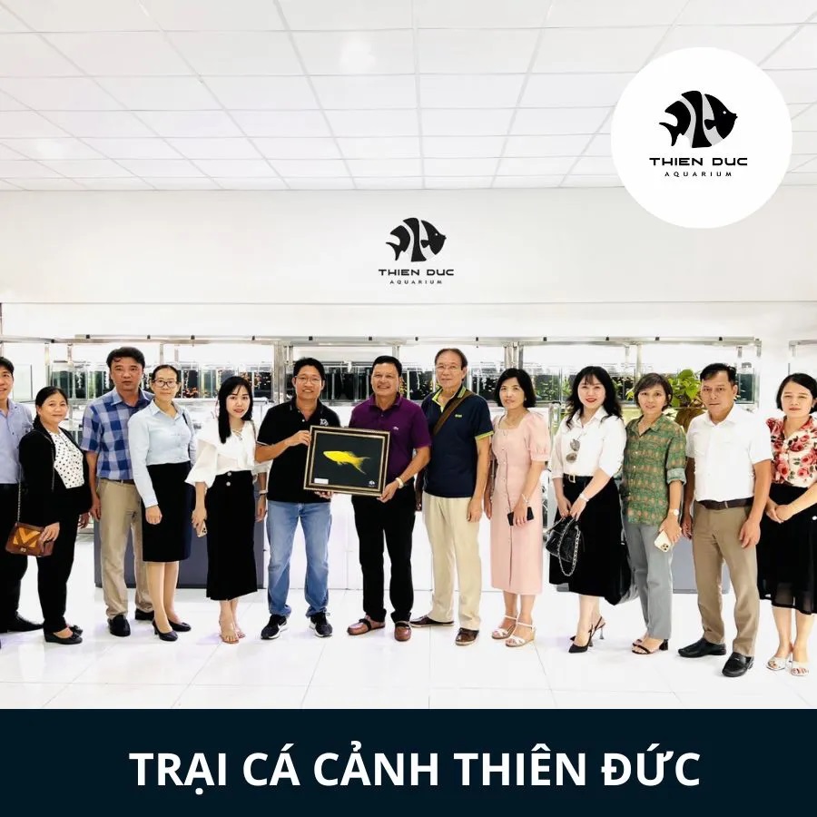 (CONNECTING EVENT FOR EXPANDING AND DEVELOPING THE FISH industry) Program 