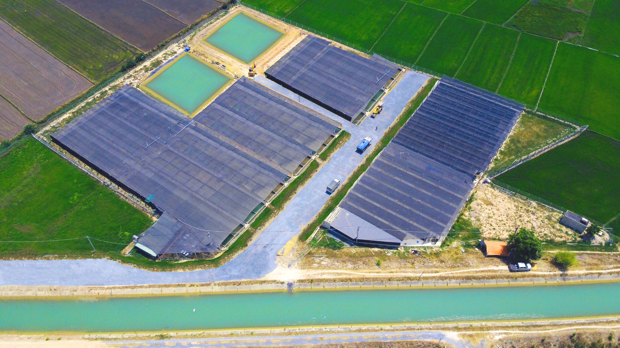 Expanding production, building a fish farming facility in Trung Lap Thuong in July 2019