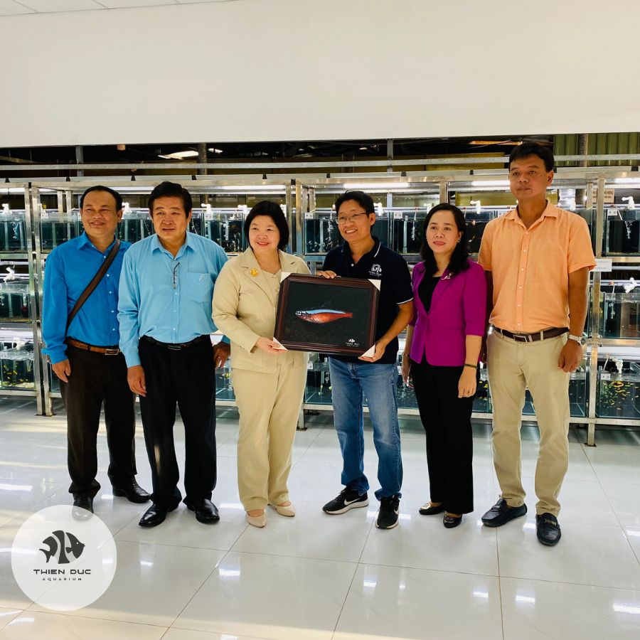 Trại Cá Cảnh Thiên Đức - Hân Hạnh Đón Tiếp Đoàn Trung Ương Hội Nông Dân Việt Nam Tới Tham Quan & Và Biểu Dương Thành Tích Lao Động.