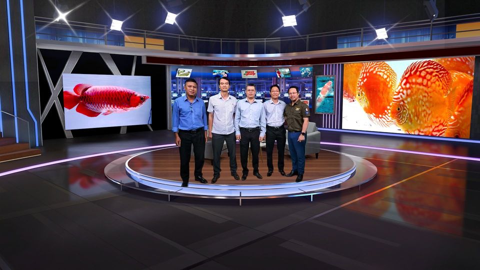 Tọa Đàm Về Ngành Nuôi Cá Cảnh Tại TP Hồ Chí Minh