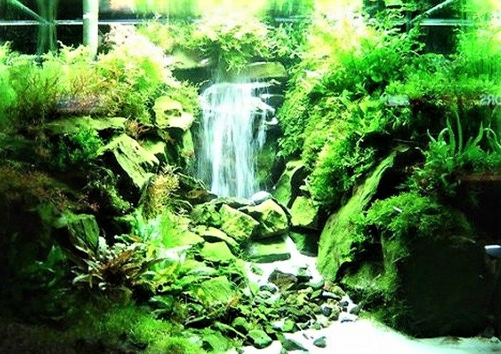 Hướng Dẫn Tạo Hiệu Ứng Thác Đổ Trong Bể Thủy Sinh Đẹp Mắt