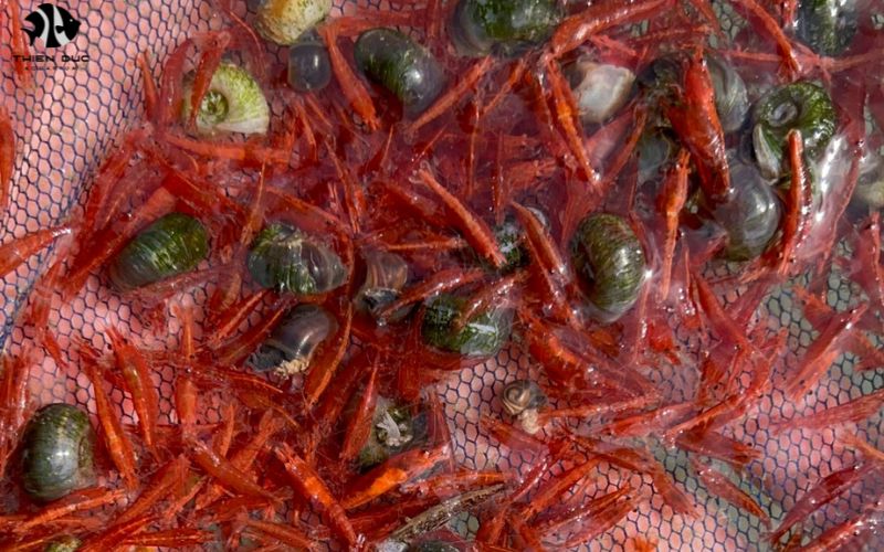 Aquarist Supplies Wholesale: Best Sources for Your Shop