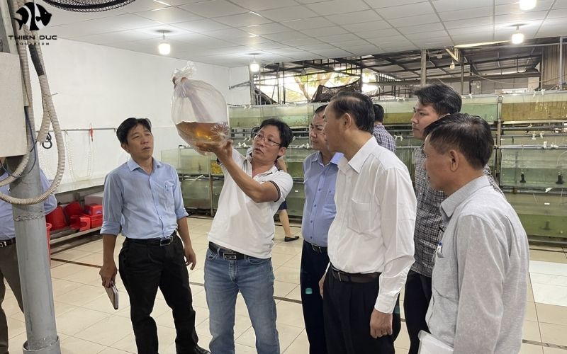 Aquarium Fish Exporting Countries: Global Market Overview