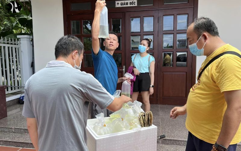 Aquarium fish farming business: Start your aquatic empire