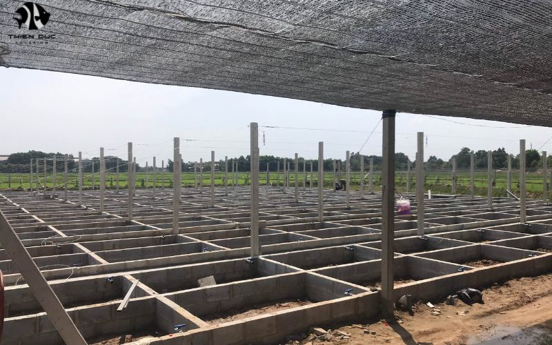 Aquarium Fish Wholesale Market: Industry Insights 2024