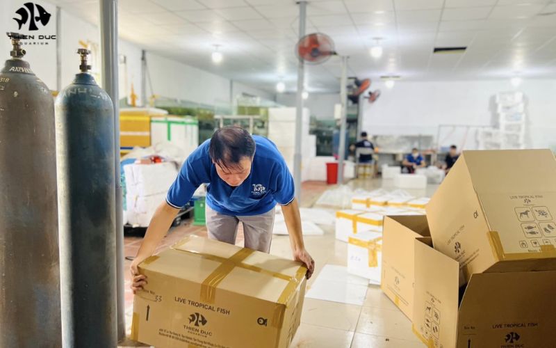 Breeding fish for export: Global aquaculture opportunities