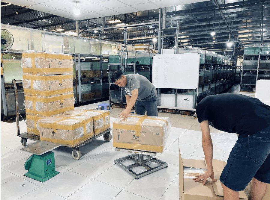 Cửa hàng bán cá cảnh gần đây uy tín nhất