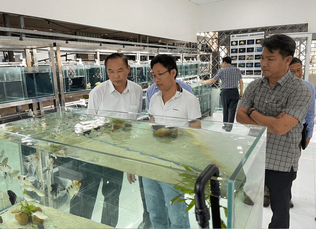 Cửa hàng thuỷ sinh uy tín giá tốt nhất TPHCM