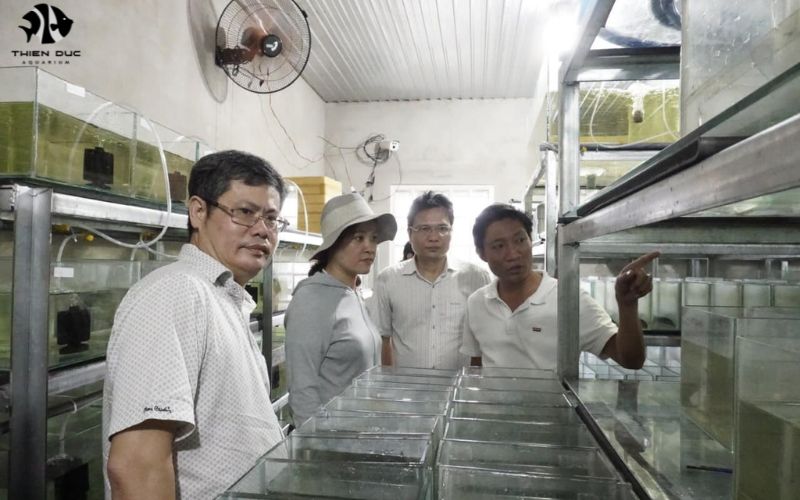 Fish Trade News: Insights into the Global Industry