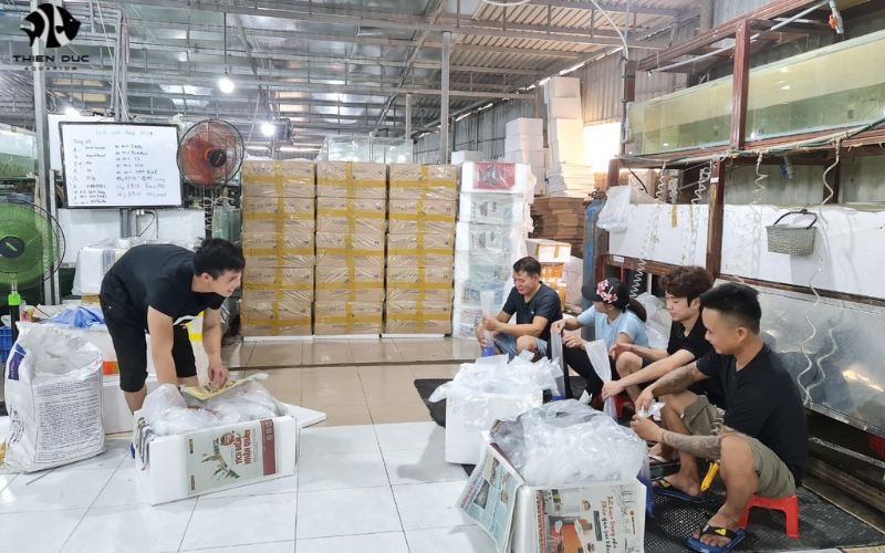 Global Fish Export: Trends in International Markets