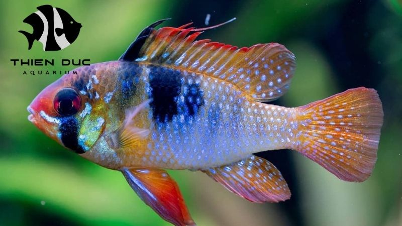 Import Scenes from Southeast Asia: Shipping Guide