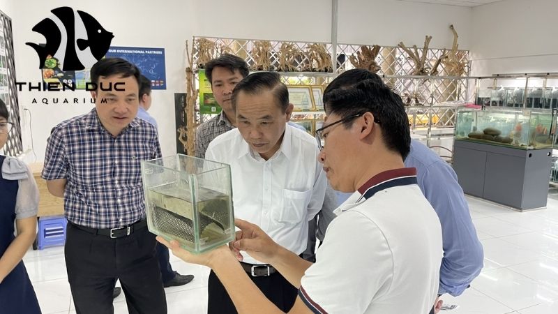 Membership in OFI Vietnam - Thien Duc's Commitment