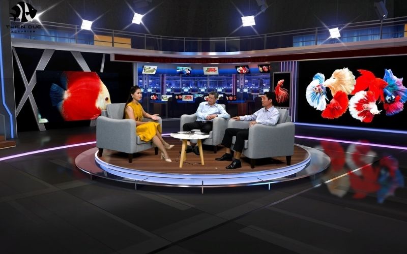 Online Fishkeeping Forums: Connect with Fellow Lovers