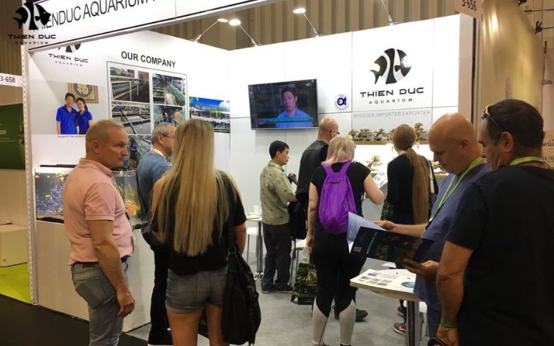 Ornamental Fish Distribution: Supply Chain Secrets