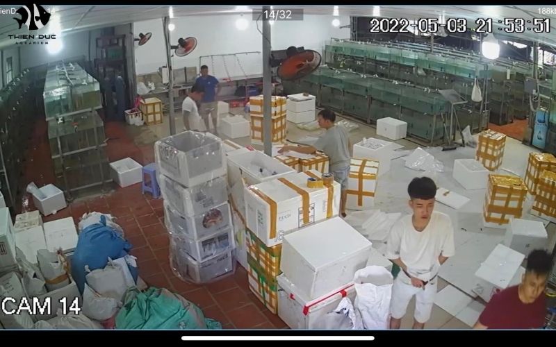 Ornamental Fish Trade International: Global Market Overview