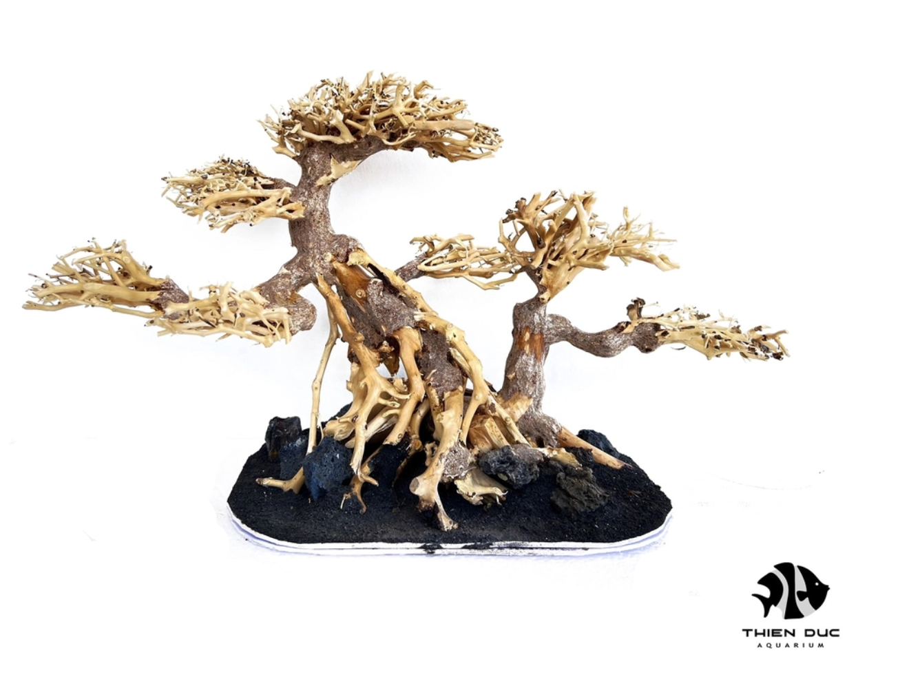 Phụ kiện thuỷ sinh giá sỉ uy tín nhất TPHCM