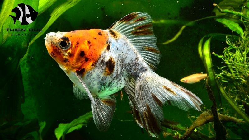 Quality guarantee live fish: Our commitment to you