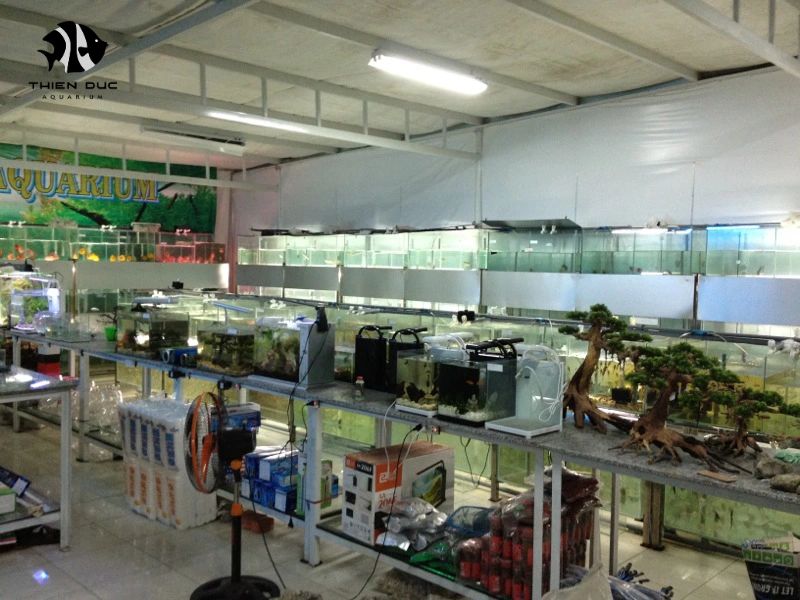 Reputable Aquarium Fish Import Partner: Trusted Source for Retailers