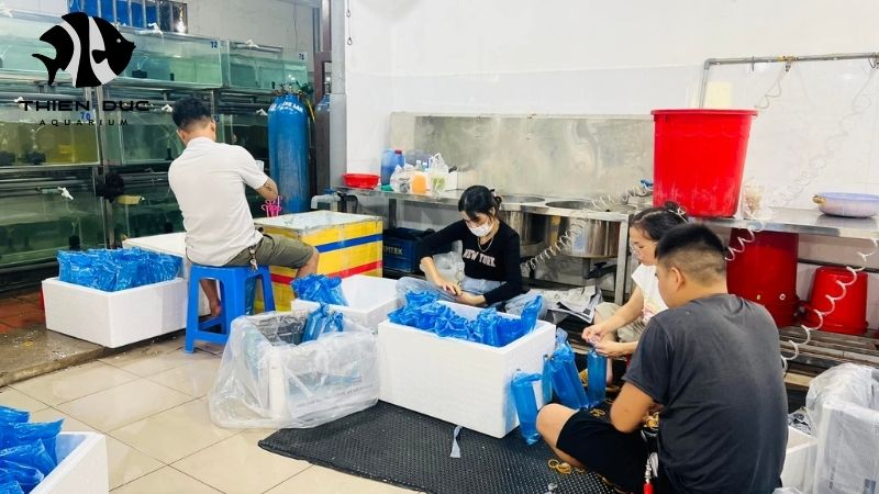 Special packaging live fish: Secure and stress-free