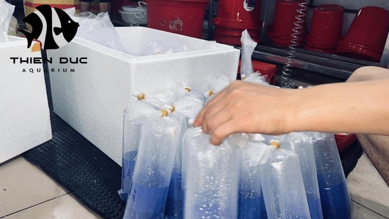 Thien Duc Farm Size and Its Aquaculture Operations